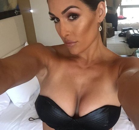 Foto di nudo di fuga di OnlyFans di The Bella Twins