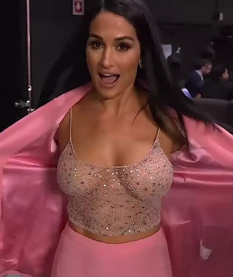 Foto di nudo di fuga di OnlyFans di The Bella Twins
