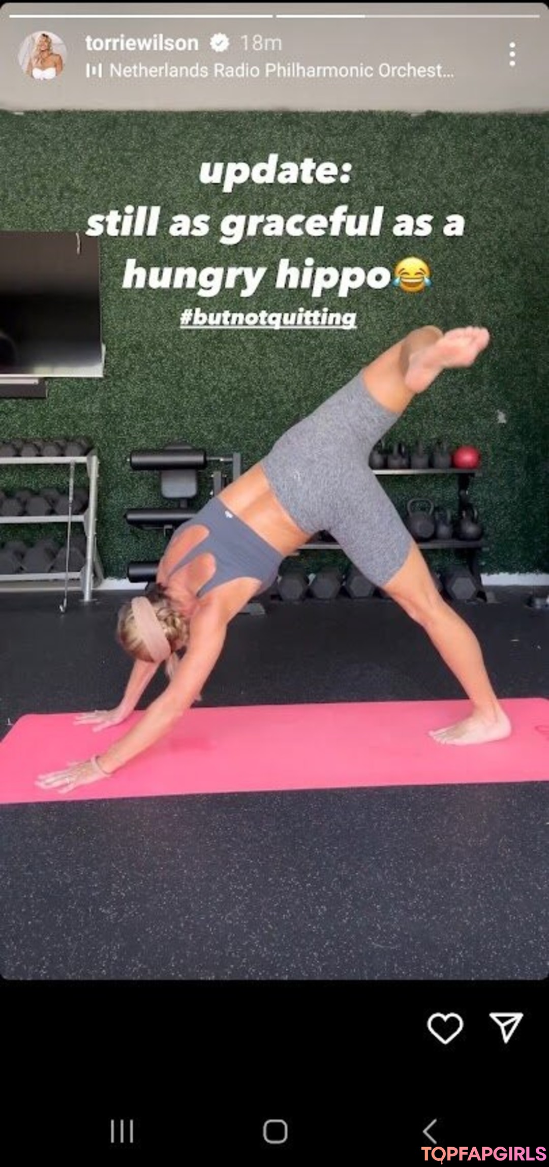 Foto di nudo di fuga di OnlyFans di Torrie Wilson #1826