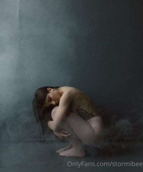 Stormibee