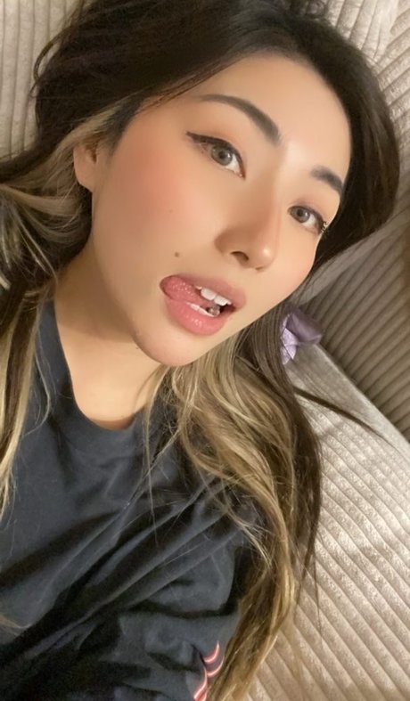 Xchocobars