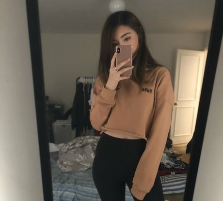 Xchocobars