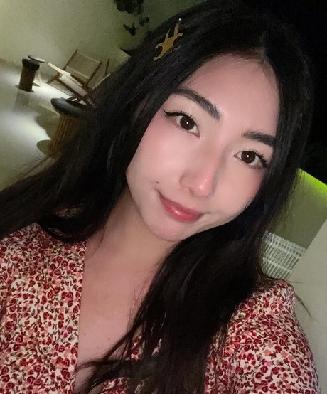Xchocobars