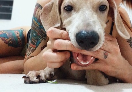 Foto di nudo di fuga di OnlyFans di Camilaferreirai