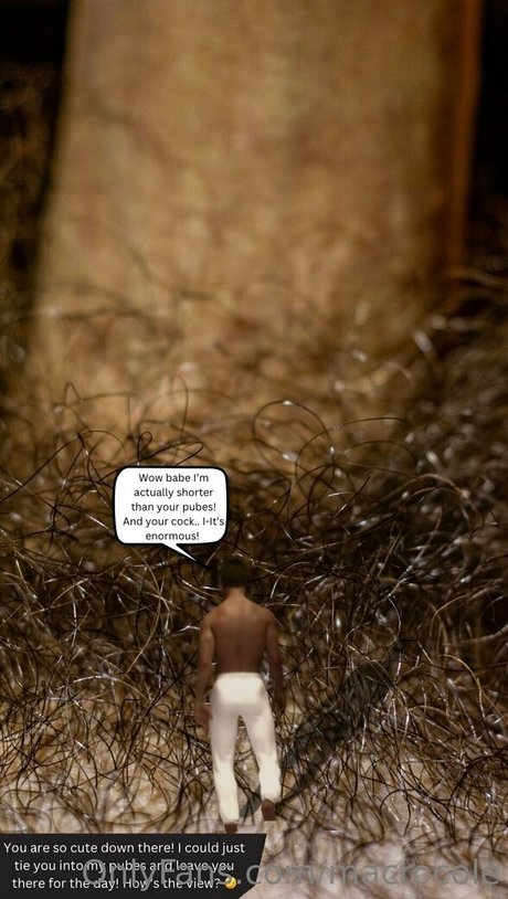 Macrocole