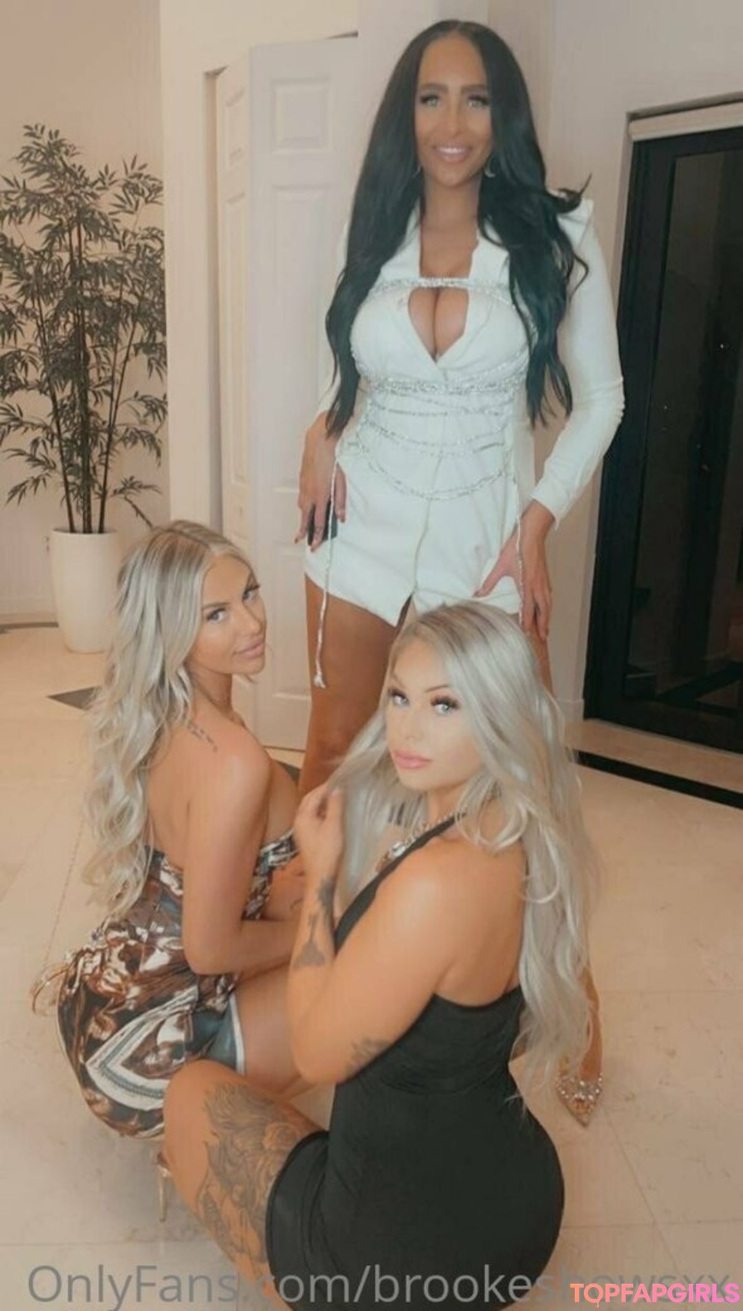 Foto di nudo di fuga di OnlyFans di Brookeshowsxx #1334