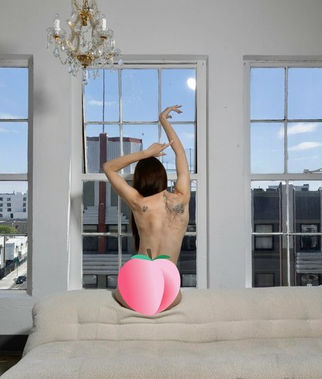 Foto di nudo di fuga di OnlyFans di Lisinafree