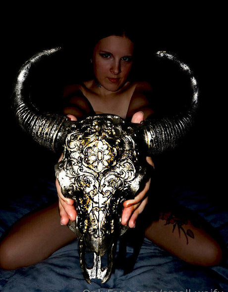Foto di nudo di fuga di OnlyFans di Smallwaifu