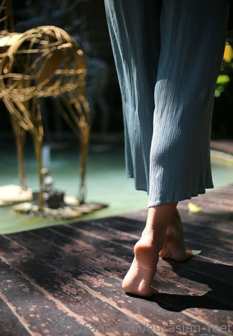 Eurasianfeet
