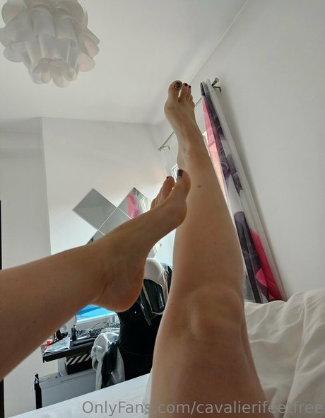 Cavalierifeetfree