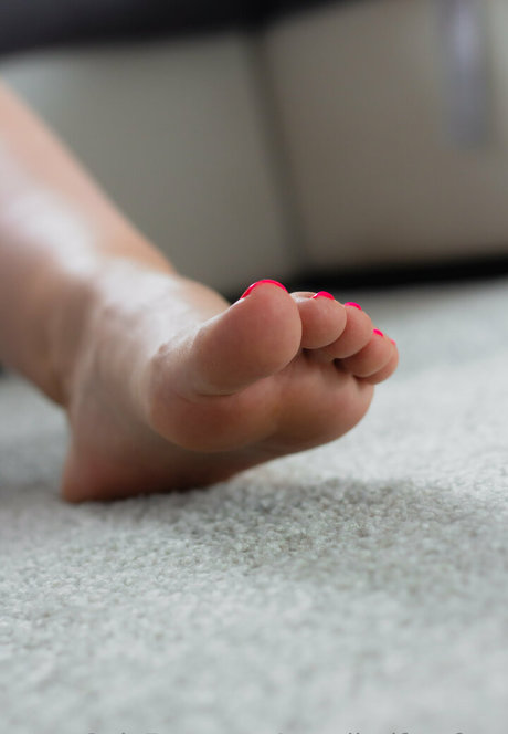 Cavalierifeetfree