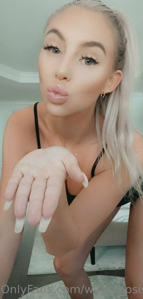 Wydstepsissy