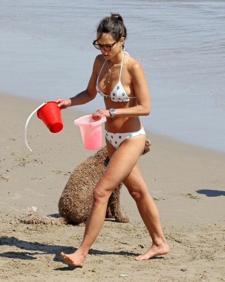 Jordana Brewster