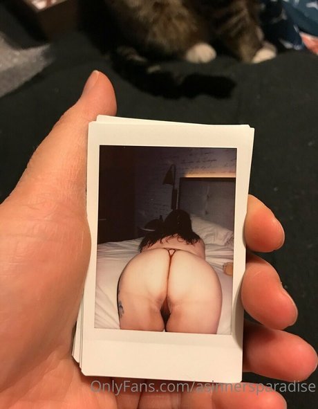 Asinnersparadise