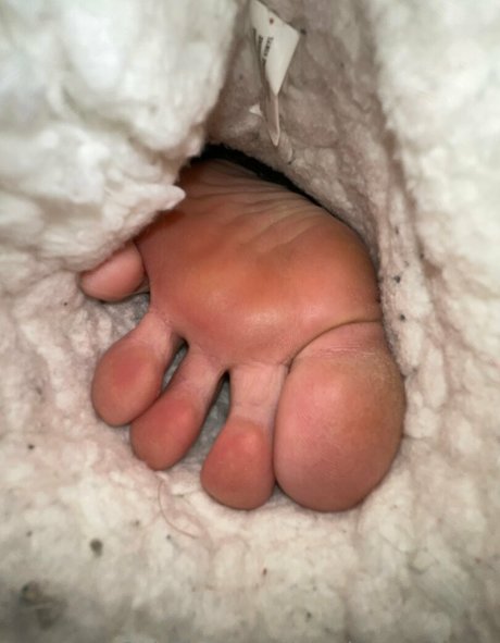 Foto di nudo di fuga di OnlyFans di Preciousssgemm