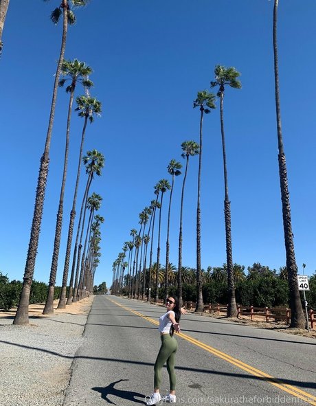 Sakuratheforbiddenfruit