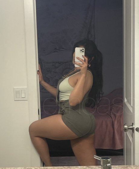 Foto di nudo di fuga di OnlyFans di Lilemoass