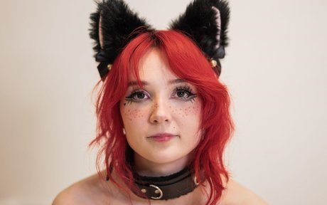 Kittykaya