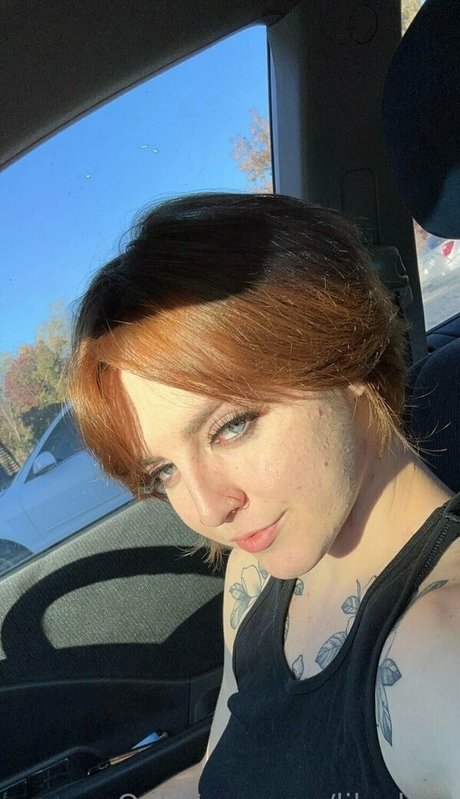 Lilvelma