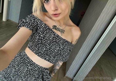 Littleharley_q