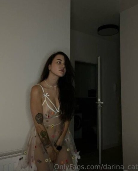 Darinacat
