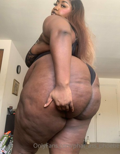 Phatassphoebe