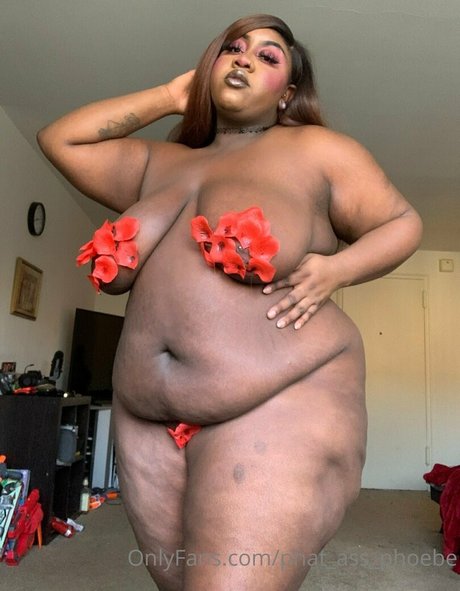 Phatassphoebe