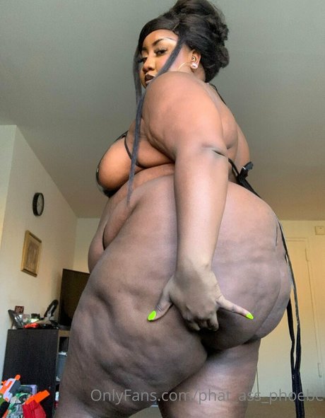 Phatassphoebe