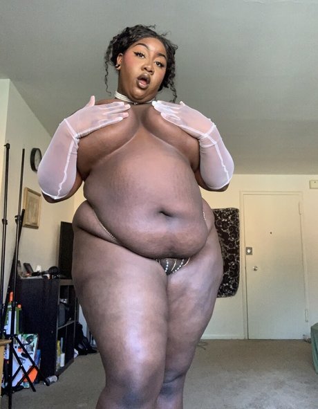 Phatassphoebe