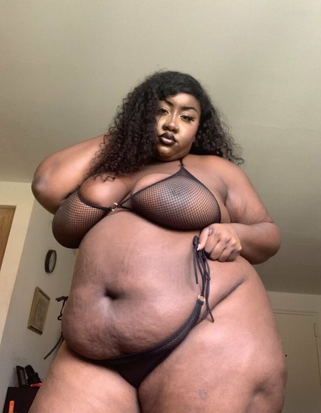 Phatassphoebe