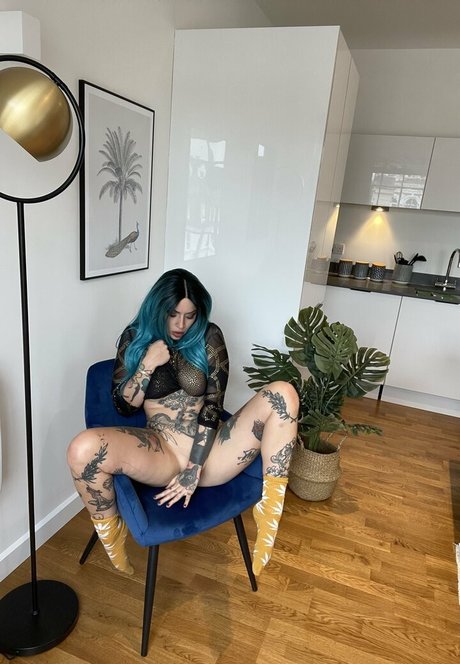 Katsandcrows
