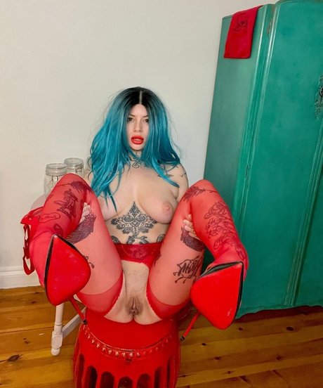 Katsandcrows