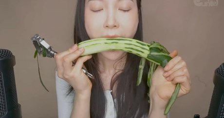 Foto di nudo di fuga di OnlyFans di Eunzel Asmr