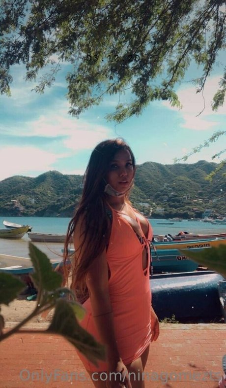 Foto di nudo di fuga di OnlyFans di Ninagomezts