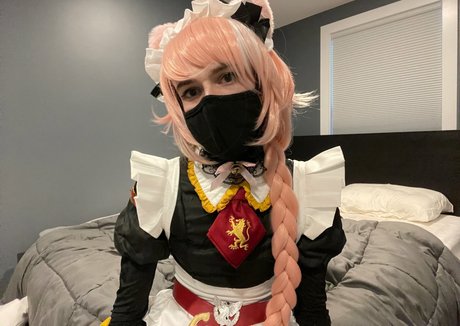 Catboiaoi