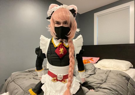 Catboiaoi