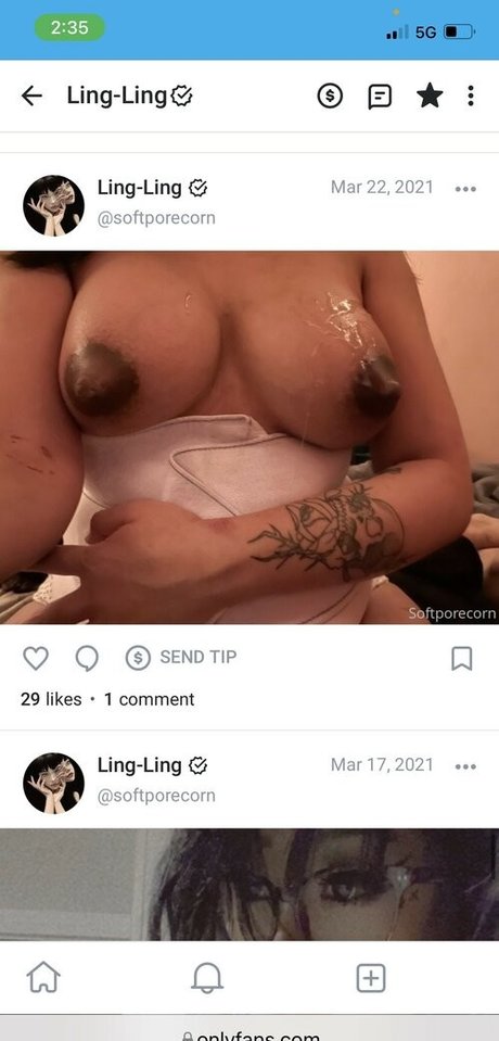 Foto di nudo di fuga di OnlyFans di Lilemobarbie