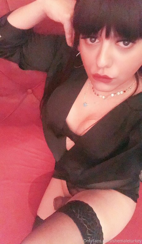Foto di nudo di fuga di OnlyFans di Shemaleturkey