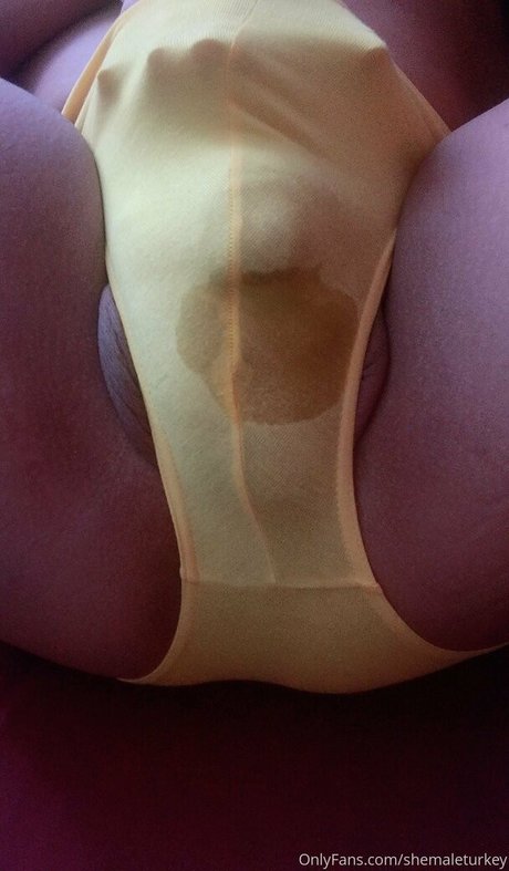 Foto di nudo di fuga di OnlyFans di Shemaleturkey