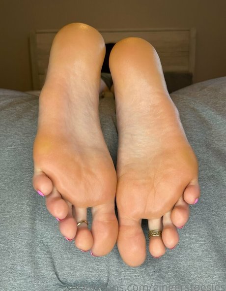 Gingerstoesies