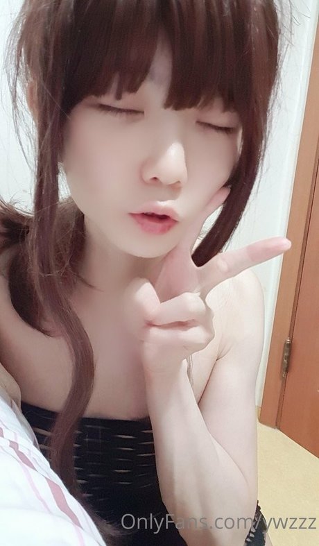 Ywzzz
