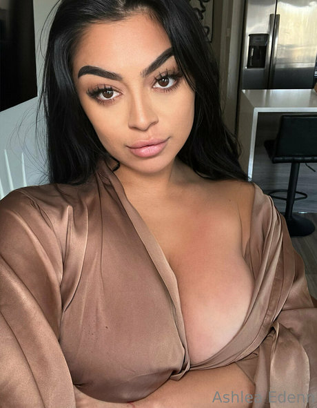 Ashleasoffline