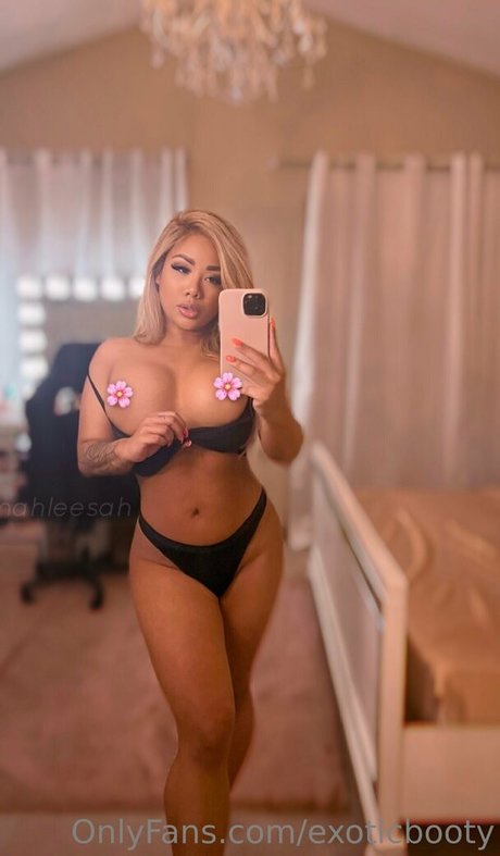 Foto di nudo di fuga di OnlyFans di Exoticbooty