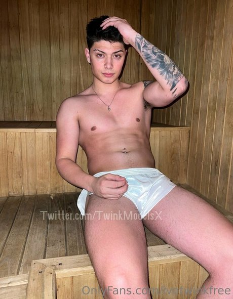 Foto di nudo di fuga di OnlyFans di Ivotwinkfree