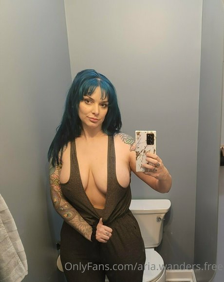 Foto di nudo di fuga di OnlyFans di Ariawandersfree