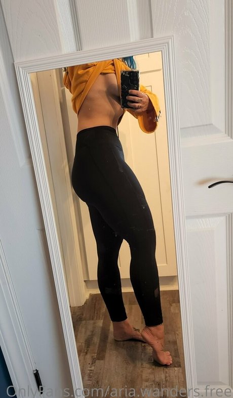 Ariawandersfree