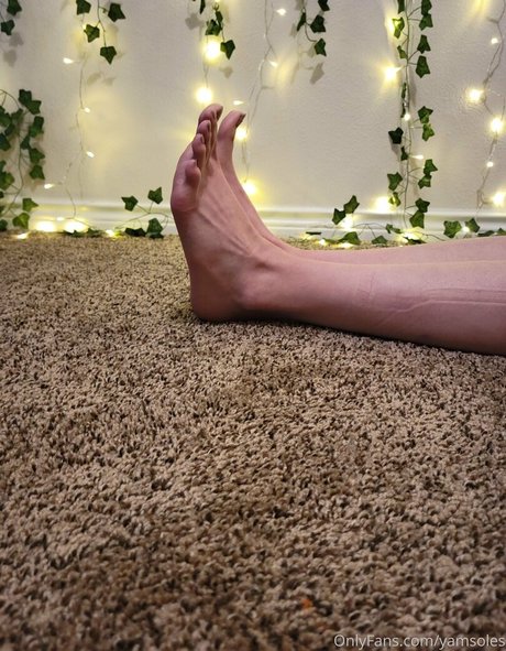 Yamsoles