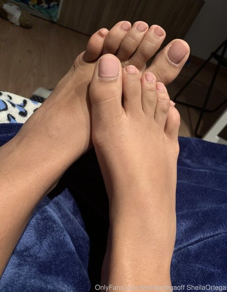 Sheilaortegaoff