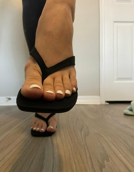 Ivorysoles