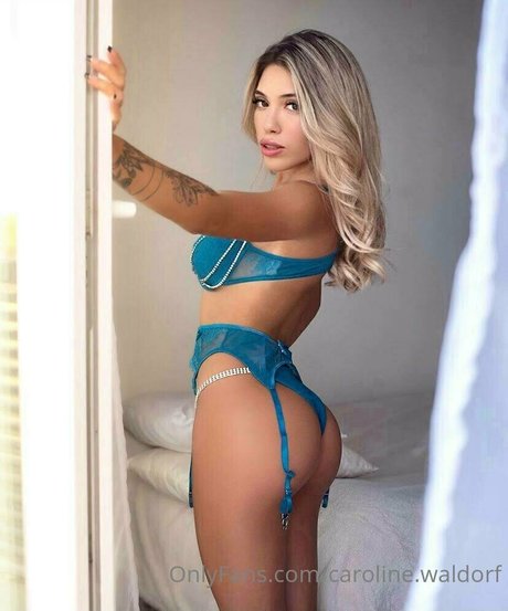 Rociovelizfree